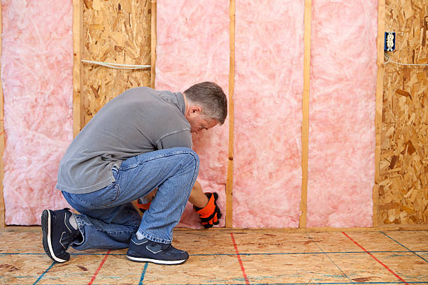 Best Basement Insulation  in South Hempstead, NY